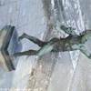 POMPEI - Copia del ''Fauno'' nell'omonima Casa ITALIA 
