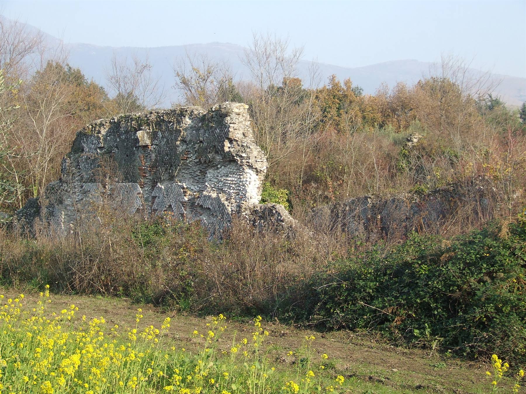 CALES