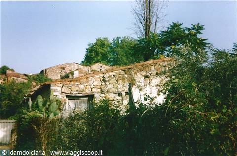 ROSCIGNO