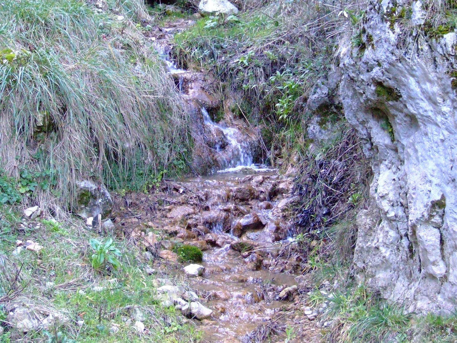 SENERCHIA