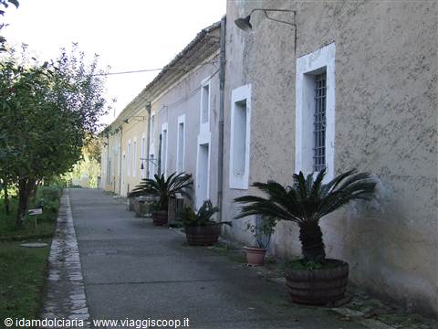 VISCIANO - Eremo dei Camaldoli