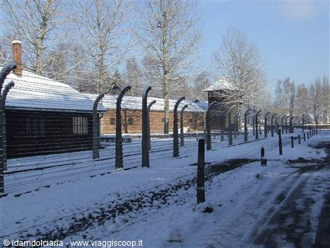 AUSCHWITZ