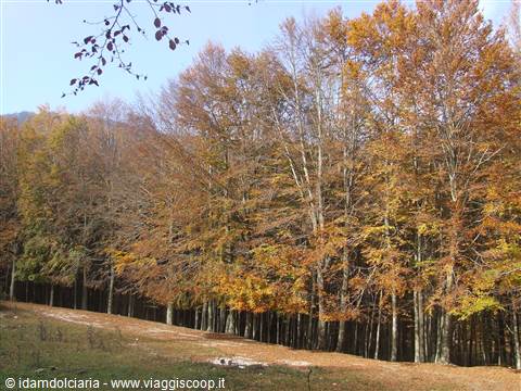 MONTELLA - Parco Regionale dei Monti Picentini