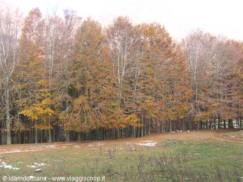 MONTELLA - Parco Regionale dei Monti Picentini