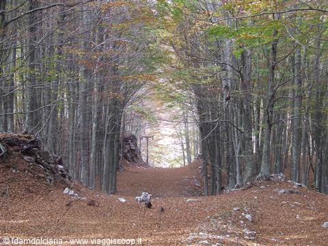MONTELLA - Parco Regionale dei Monti Picentini