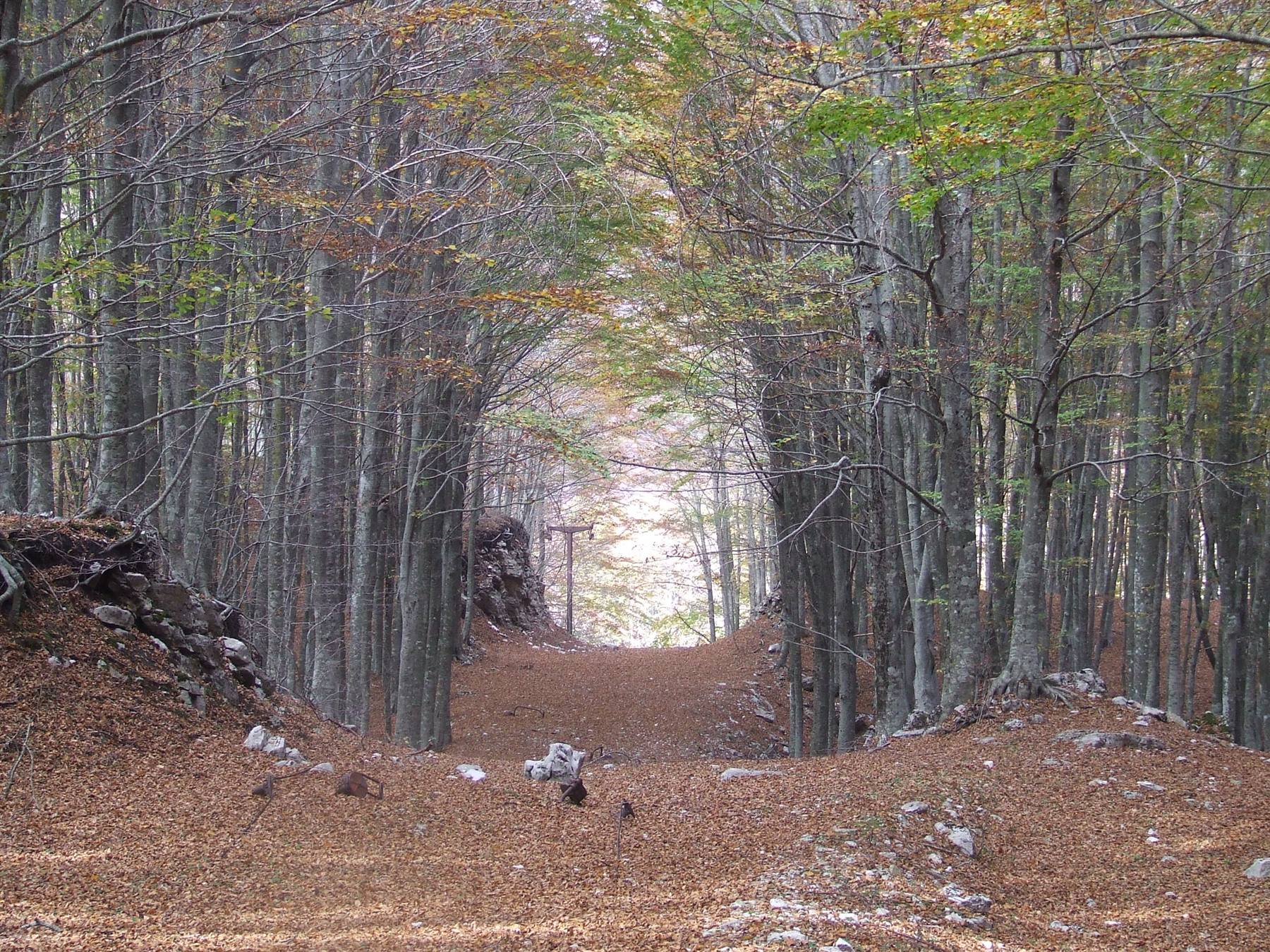 MONTELLA - Parco Regionale dei Monti Picentini