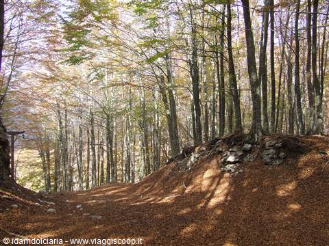 MONTELLA - Parco Regionale dei Monti Picentini