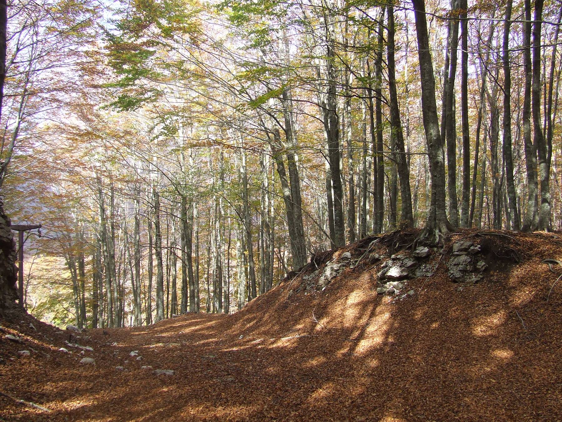 MONTELLA - Parco Regionale dei Monti Picentini