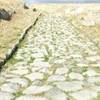 HERDONIA - Tracciato della Via Appia ITALIA 