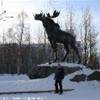 Monumento all'alce, nella piazza principale di Monchegorsk RUSSIA 
