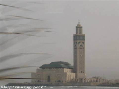moschea