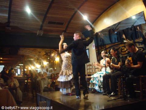 flamenco