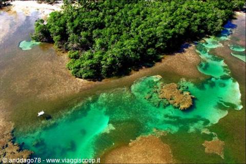 Foto Las Terrenas mare dall'alto