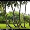 foto viaggio MALDIVE