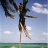 foto viaggio BAHAMAS