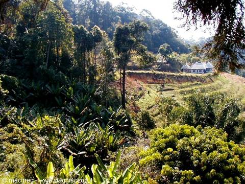 Nord Thailandia