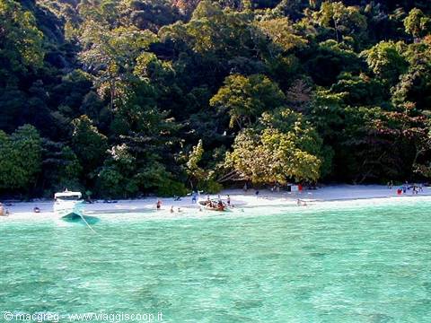 Phi Phi Island