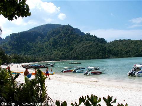 Phi Phi Island