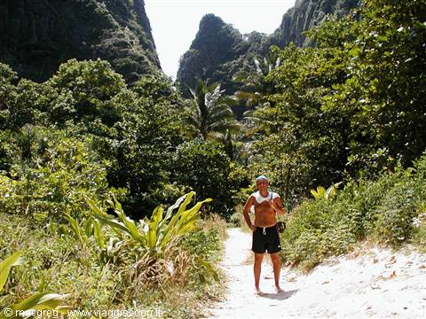 Phi Phi Island