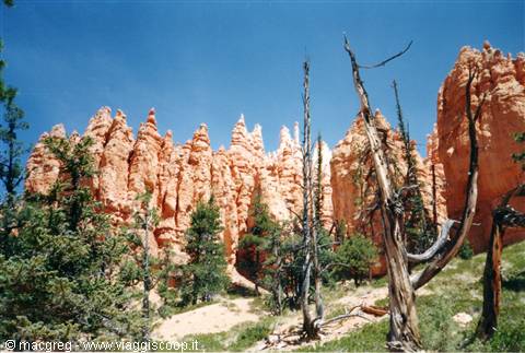 Bryce Canyon