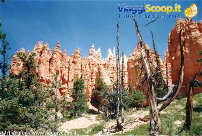 Bryce Canyon