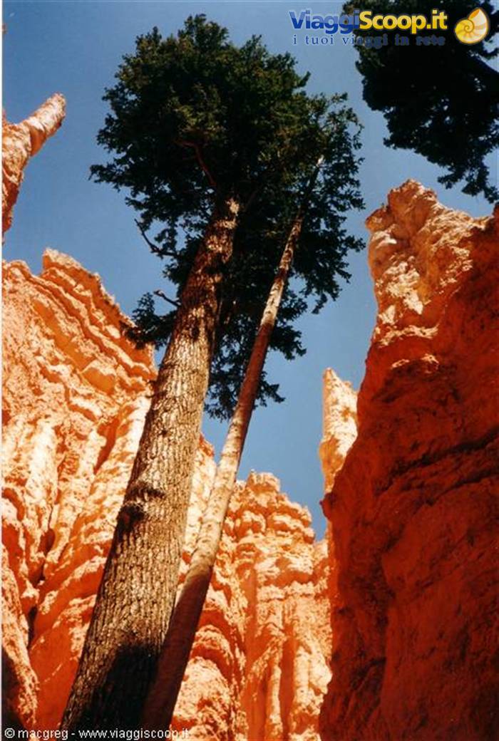 Bryce Canyon