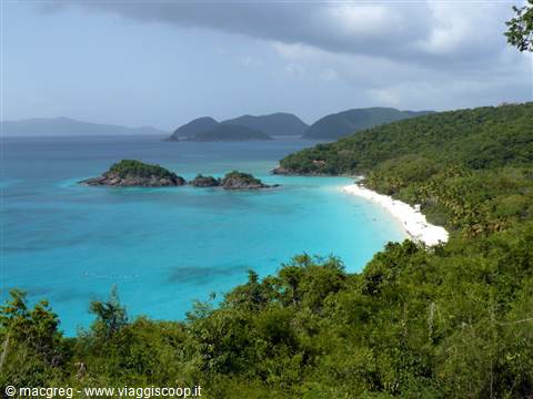 Trunk Bay