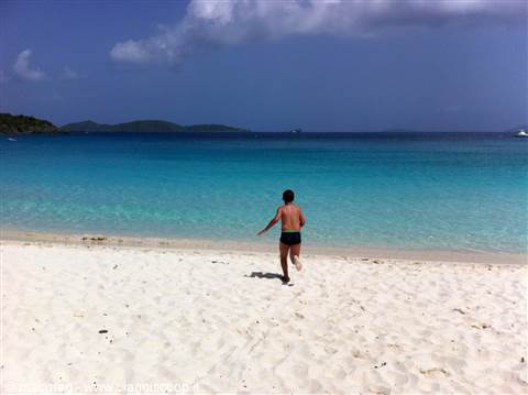 Trunk Bay