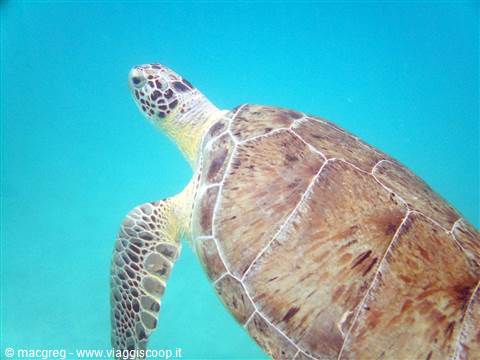Underwater