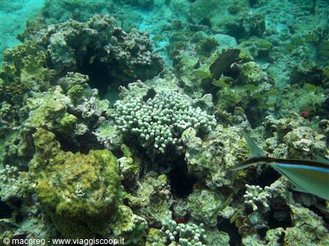 Underwater