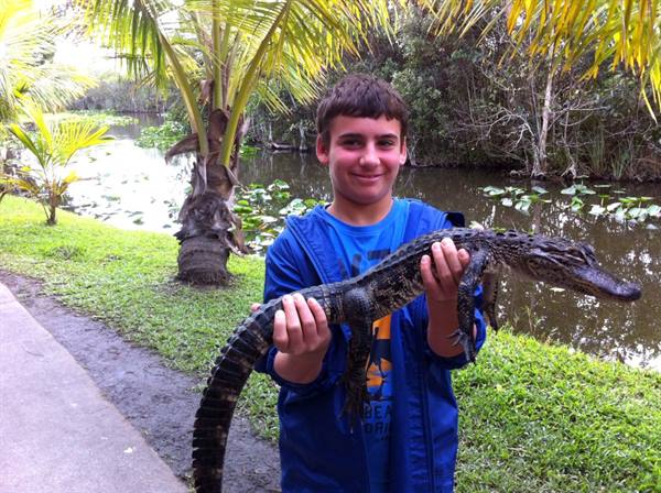 Everglades