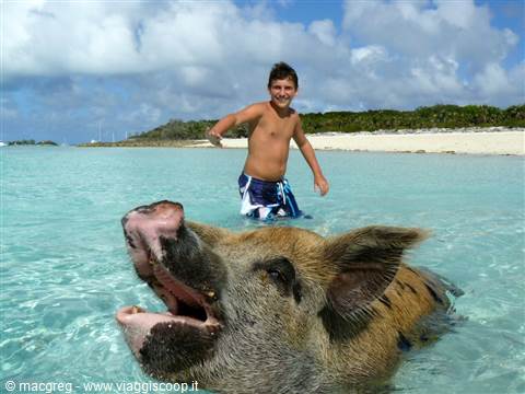 Exuma Cays