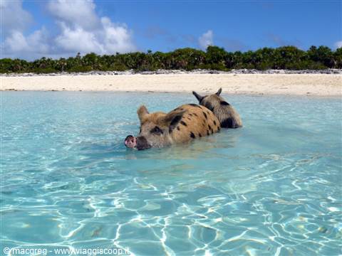 Exuma Cays