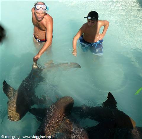 Exuma Cays