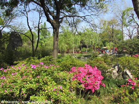 Suzhou