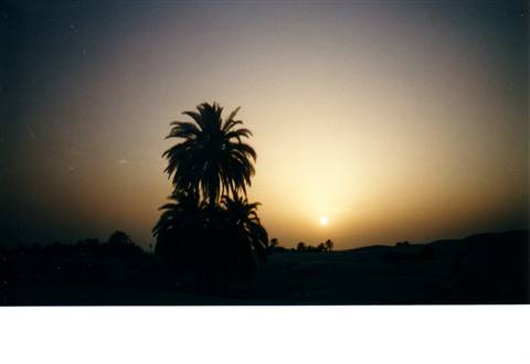 Tramonto nel deserto