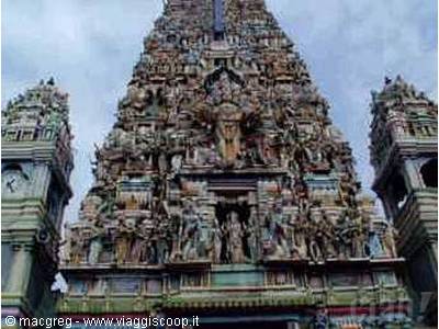 Colombo (immagine presa dal web)