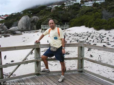 Boulders Beach, colonia di pinguini
