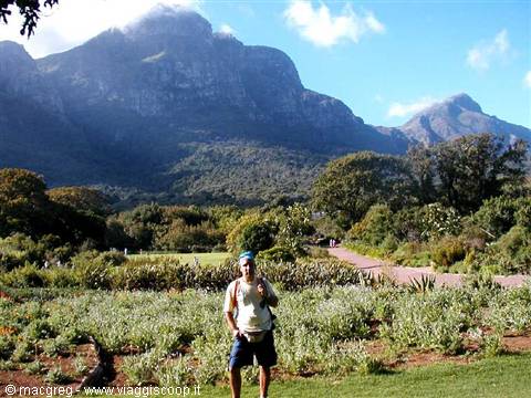 Kinterbosh, i giardini botanici
