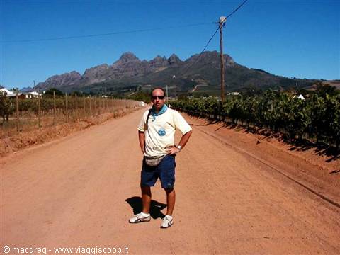 Le Winelands