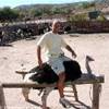Outdshoorn, fattoria di struzzi SUD AFRICA 