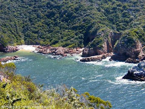 Knysna