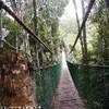 Monkeylands SUD AFRICA 