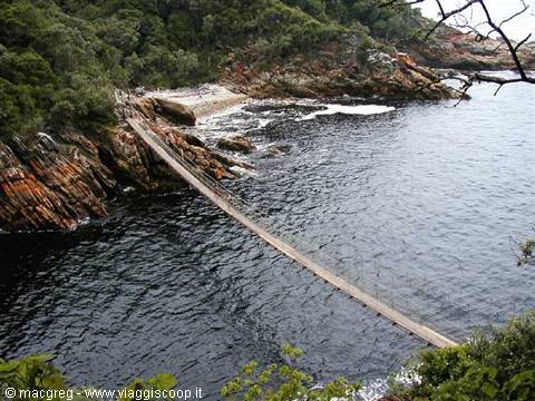 Tsitsikamma NP, il ponte sospeso