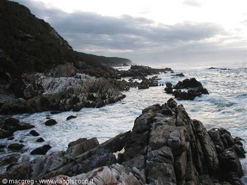 Tsitsikamma NP, l'Otter Trail