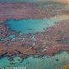 Hanauma Bay STATI UNITI D'AMERICA ISOLE MINORI 