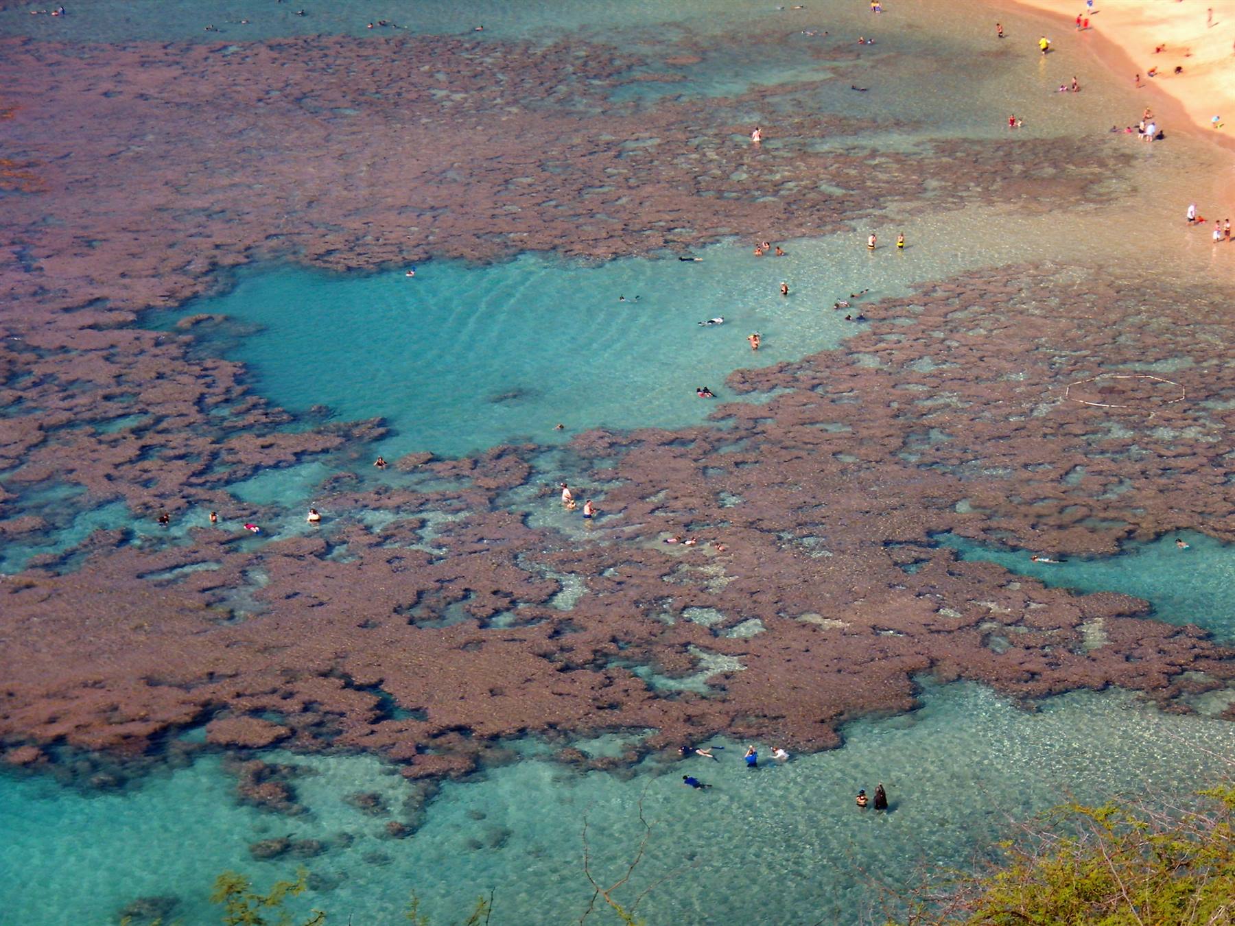 Hanauma Bay