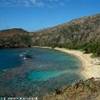 Hanauma Bay STATI UNITI D'AMERICA ISOLE MINORI 