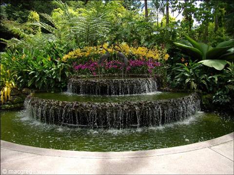 Royal Botanical Garden