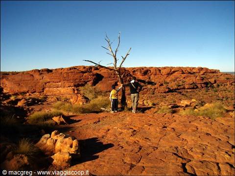 Kings Canyon